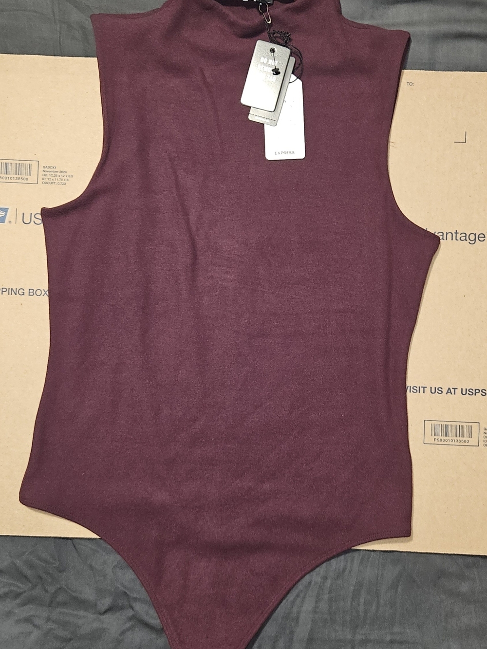 Express Sleeveless Cozy Mock Neck Bodysuit - Wine